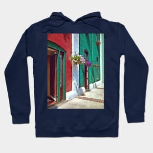 Roanoke VA - Doors and Hanging Baskets Hoodie